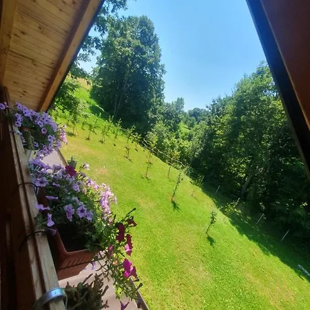Apartment Drvena Vikendica Teodora Bihac